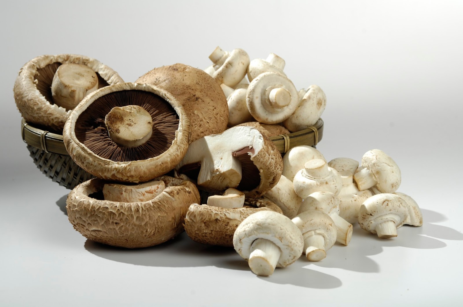 BENEFICIOS DEL CHAMPIÑON